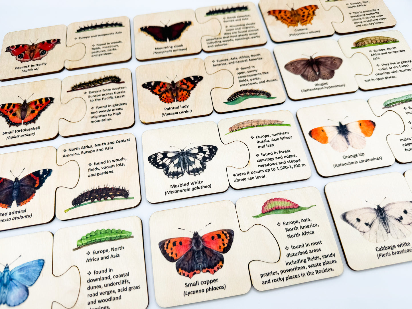 Wooden Butterfly Caterpillar Self Correcting Puzzle