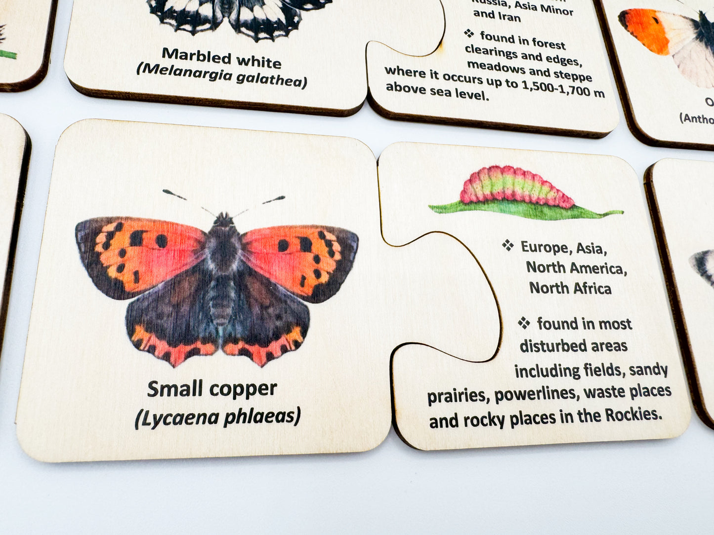 Wooden Butterfly Caterpillar Self Correcting Puzzle
