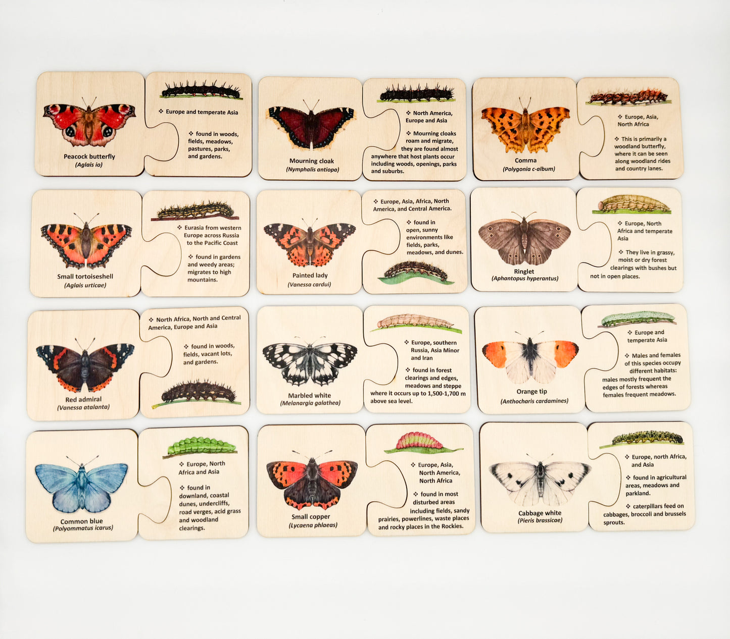 Wooden Butterfly Caterpillar Self Correcting Puzzle