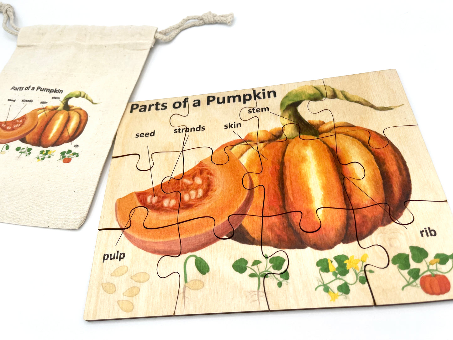 Wood Pumpkin Anatomy Puzzle