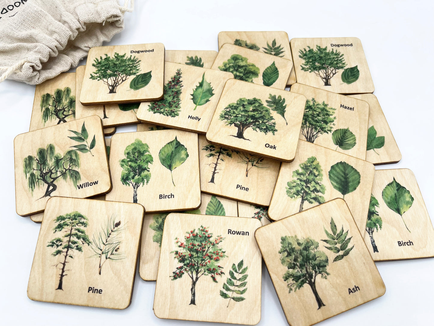 Wooden North American Tree leaf Matching Game