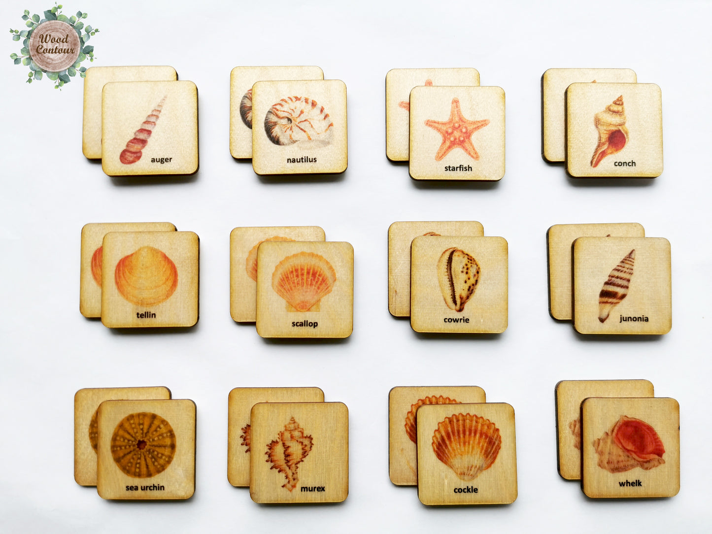 Wooden Seashell Memory Game