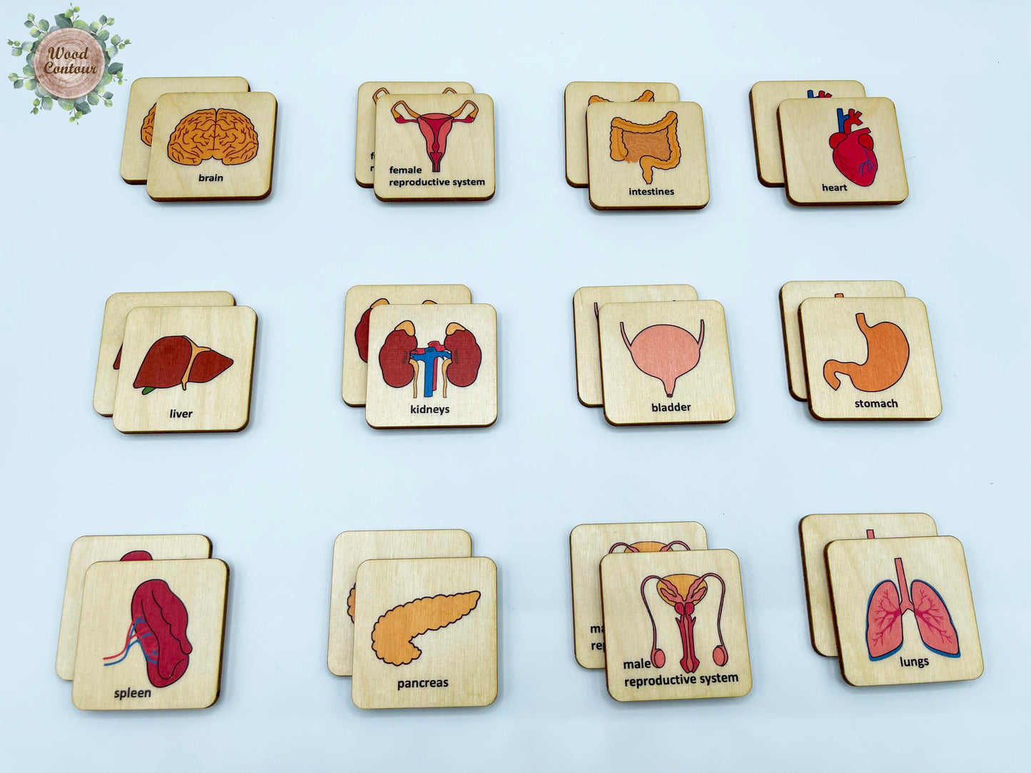 Wooden Human Anatomy memory game
