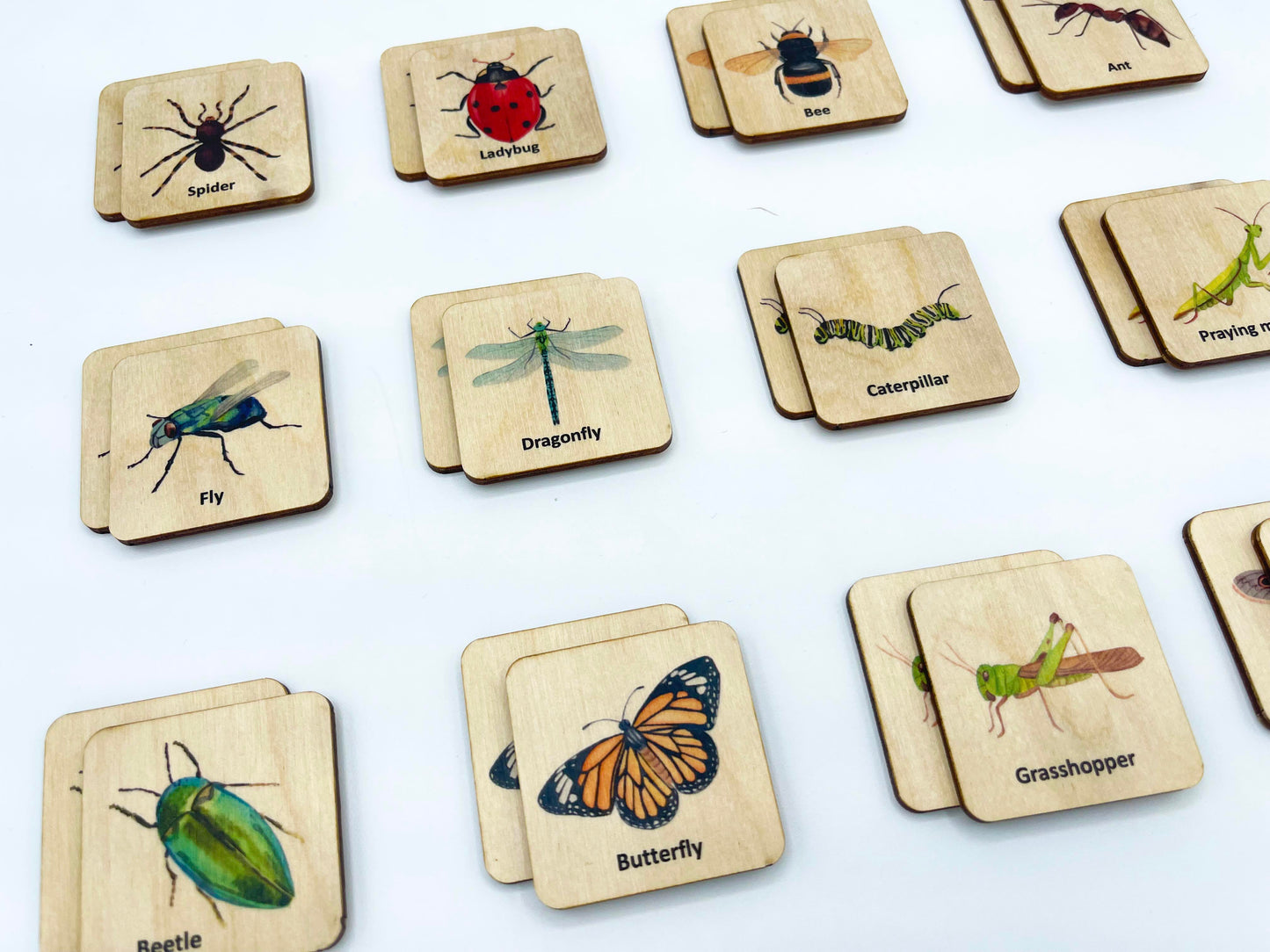 Wooden Insects Memory Game