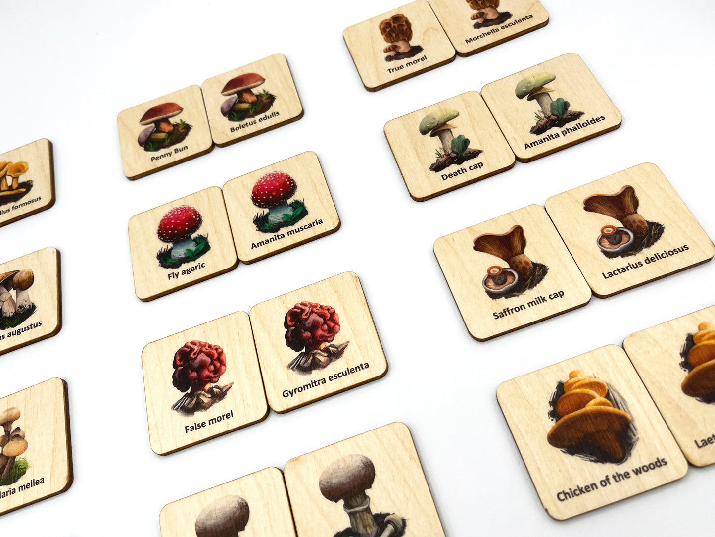 Wood Mushroom Fungi memory game