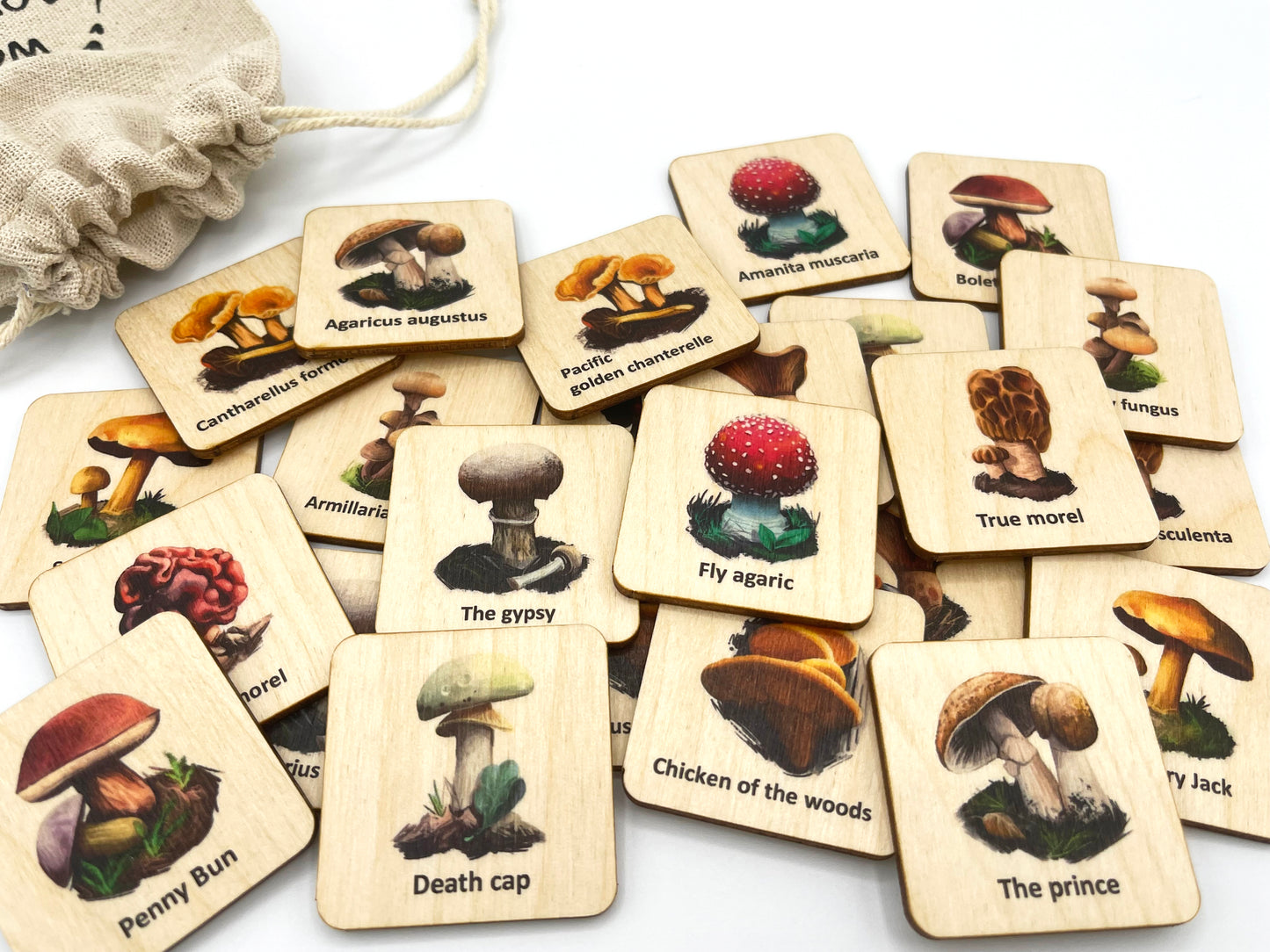 Wood Mushroom Fungi memory game