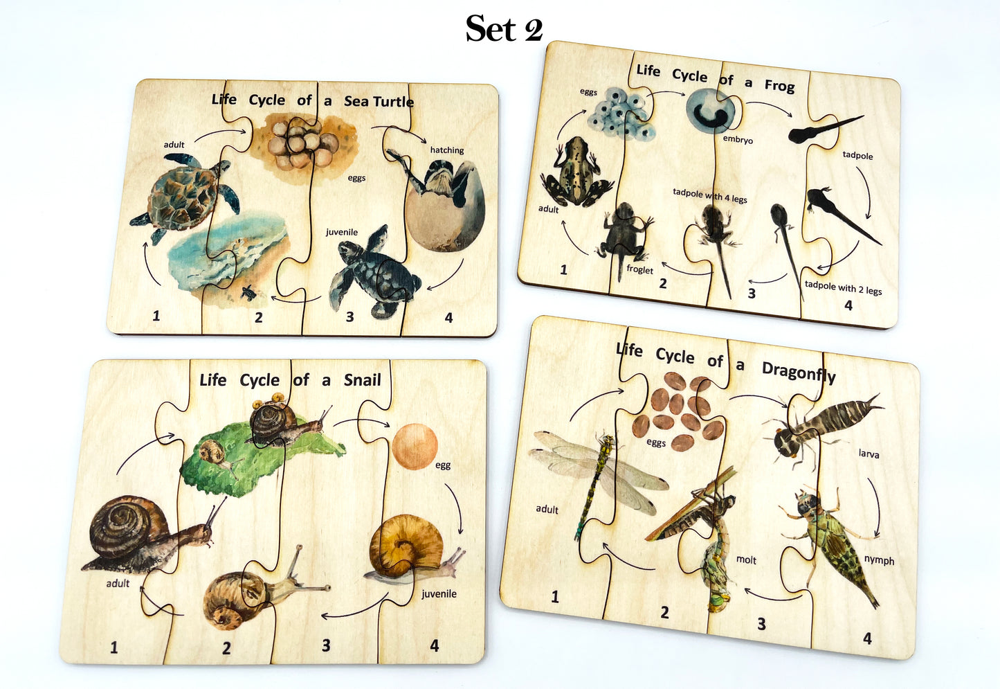 Wooden Life cycle Puzzle Set