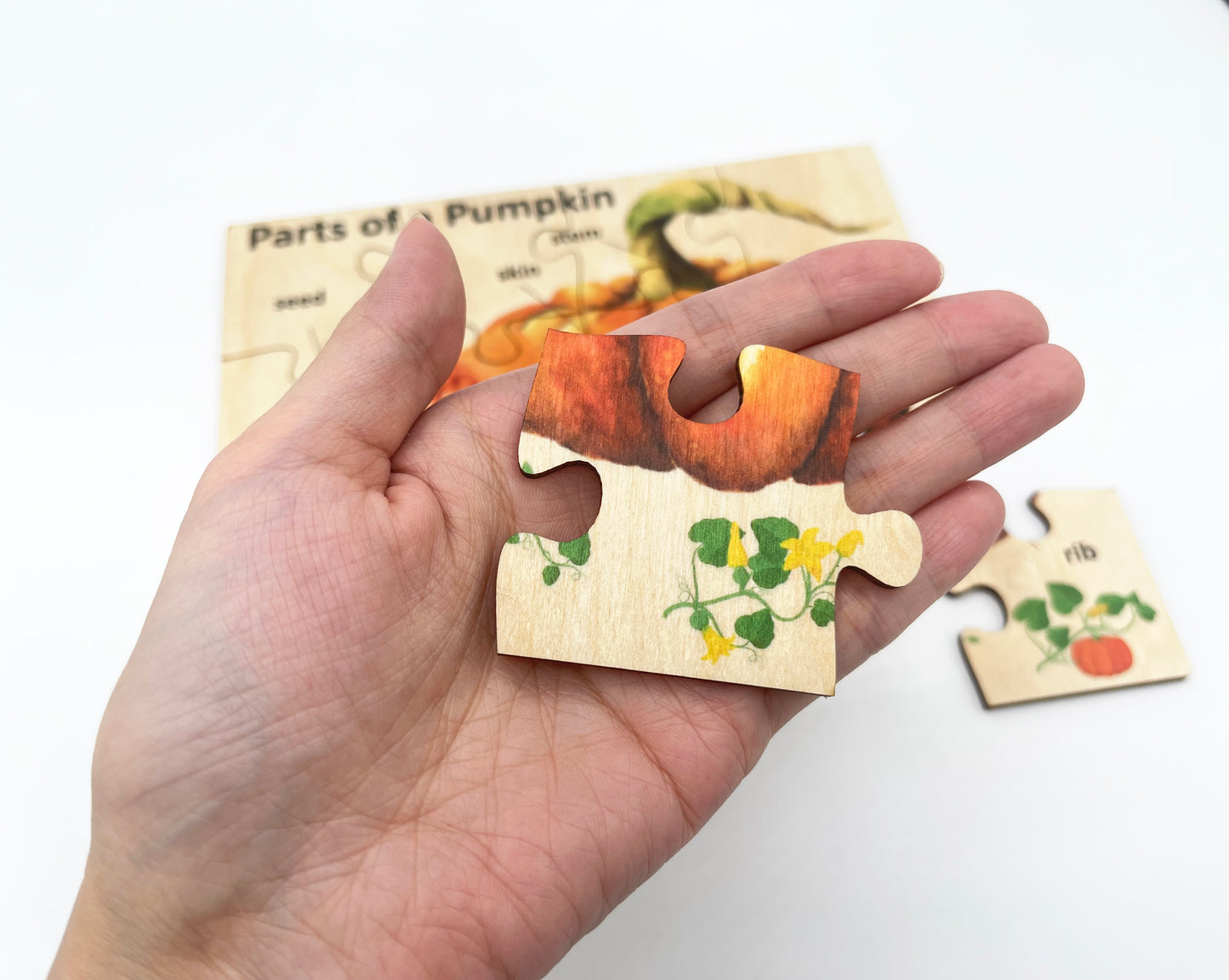 Wood Pumpkin Anatomy Puzzle