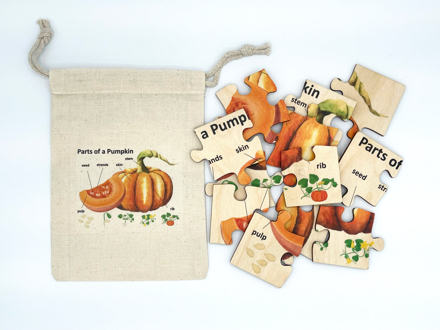 Wood Pumpkin Anatomy Puzzle