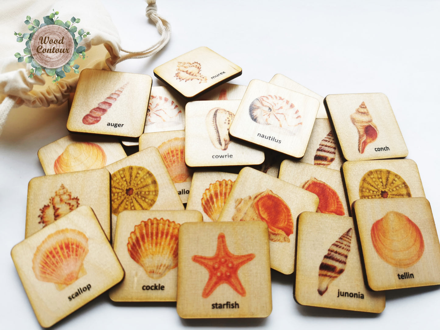 Wooden Seashell Memory Game