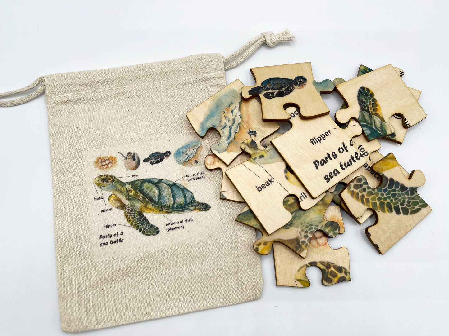 Wood Sea Turtle Anatomy Puzzle