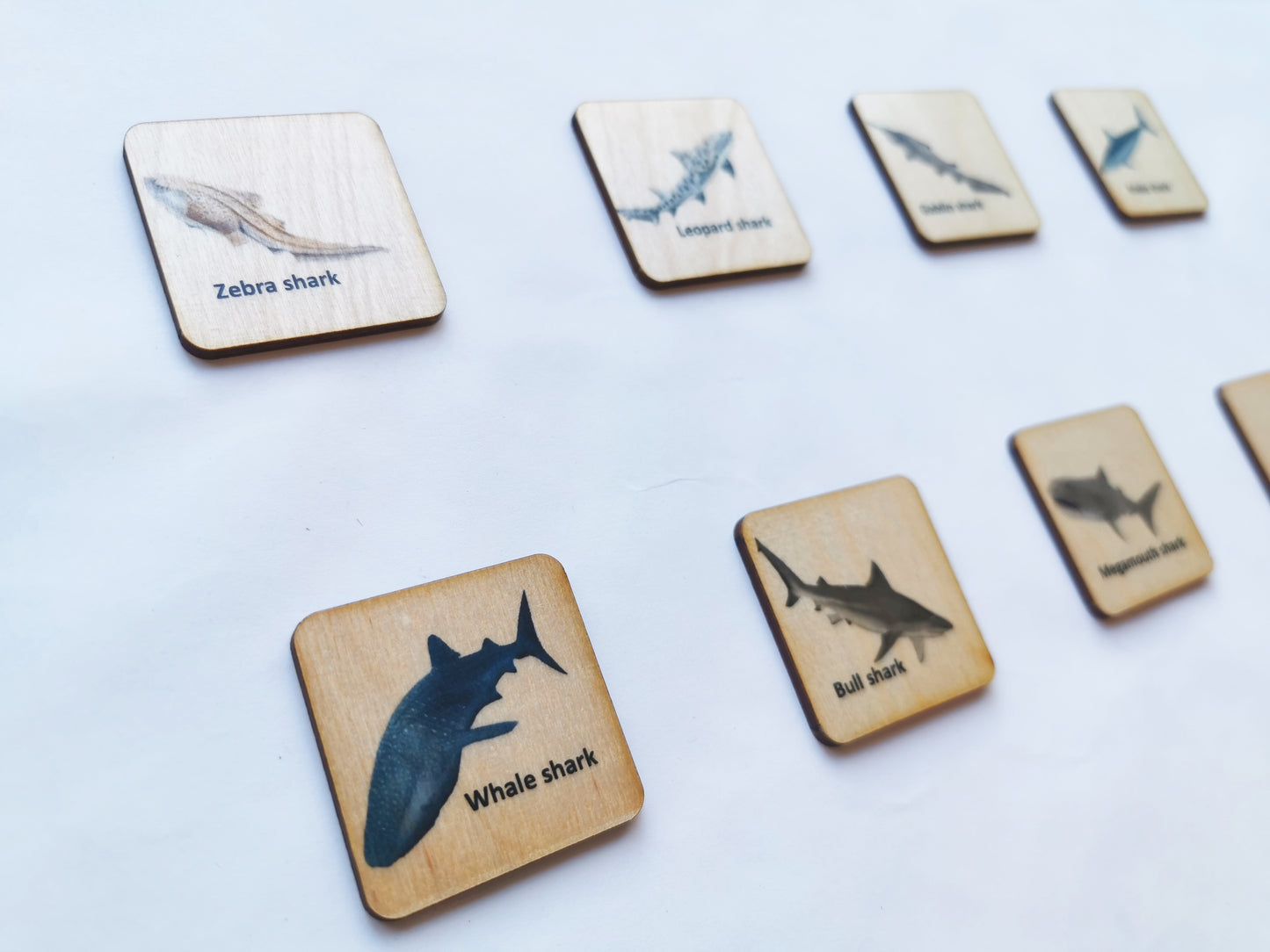 Wooden Sharks Memory Game
