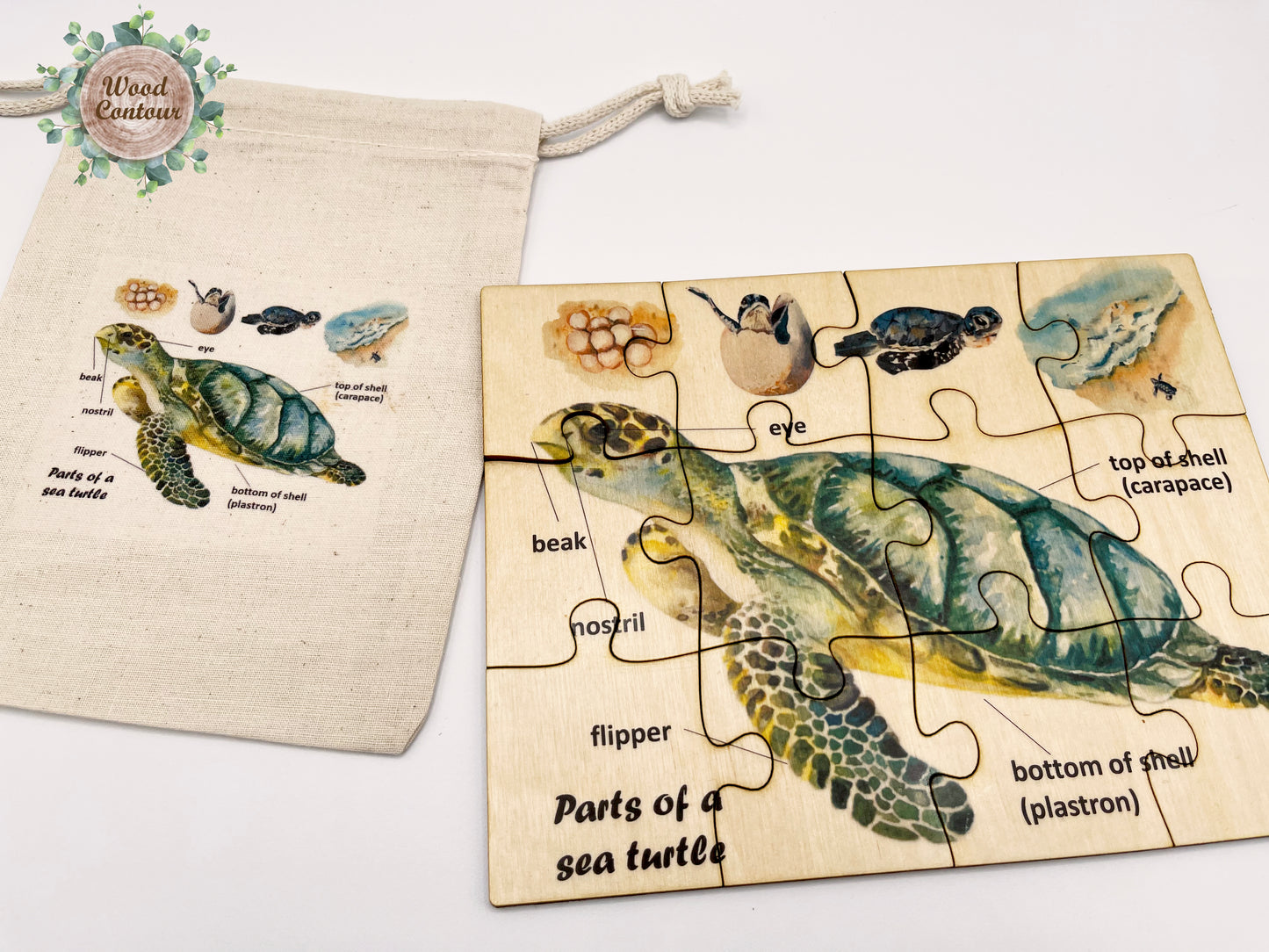 Wood Sea Turtle Anatomy Puzzle