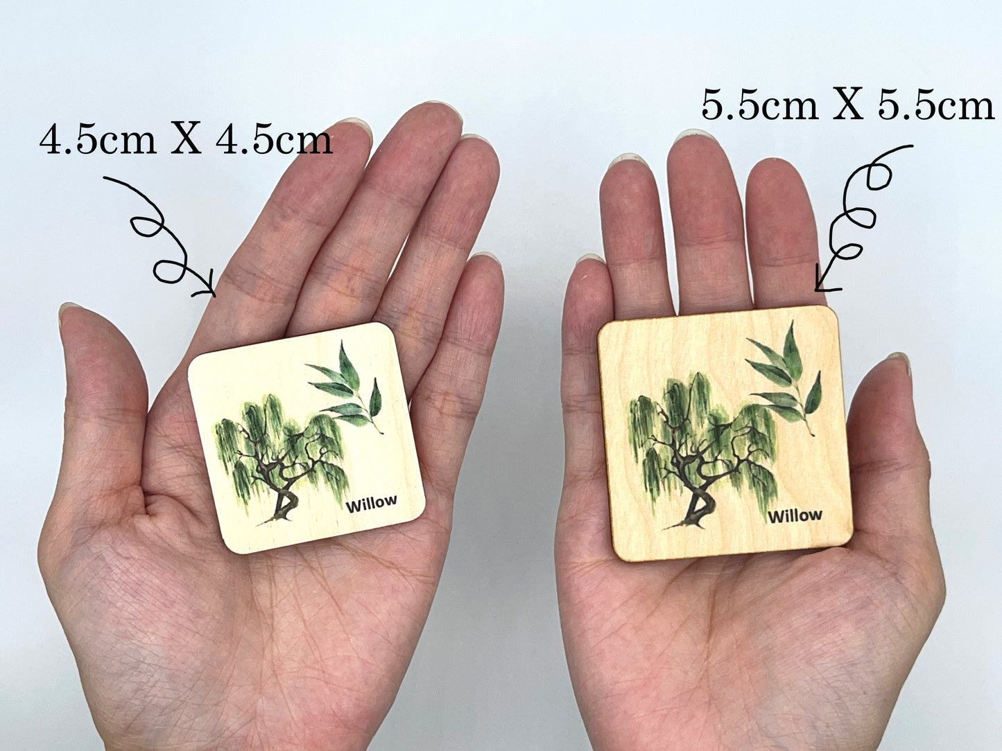 Wooden North American Tree leaf Matching Game