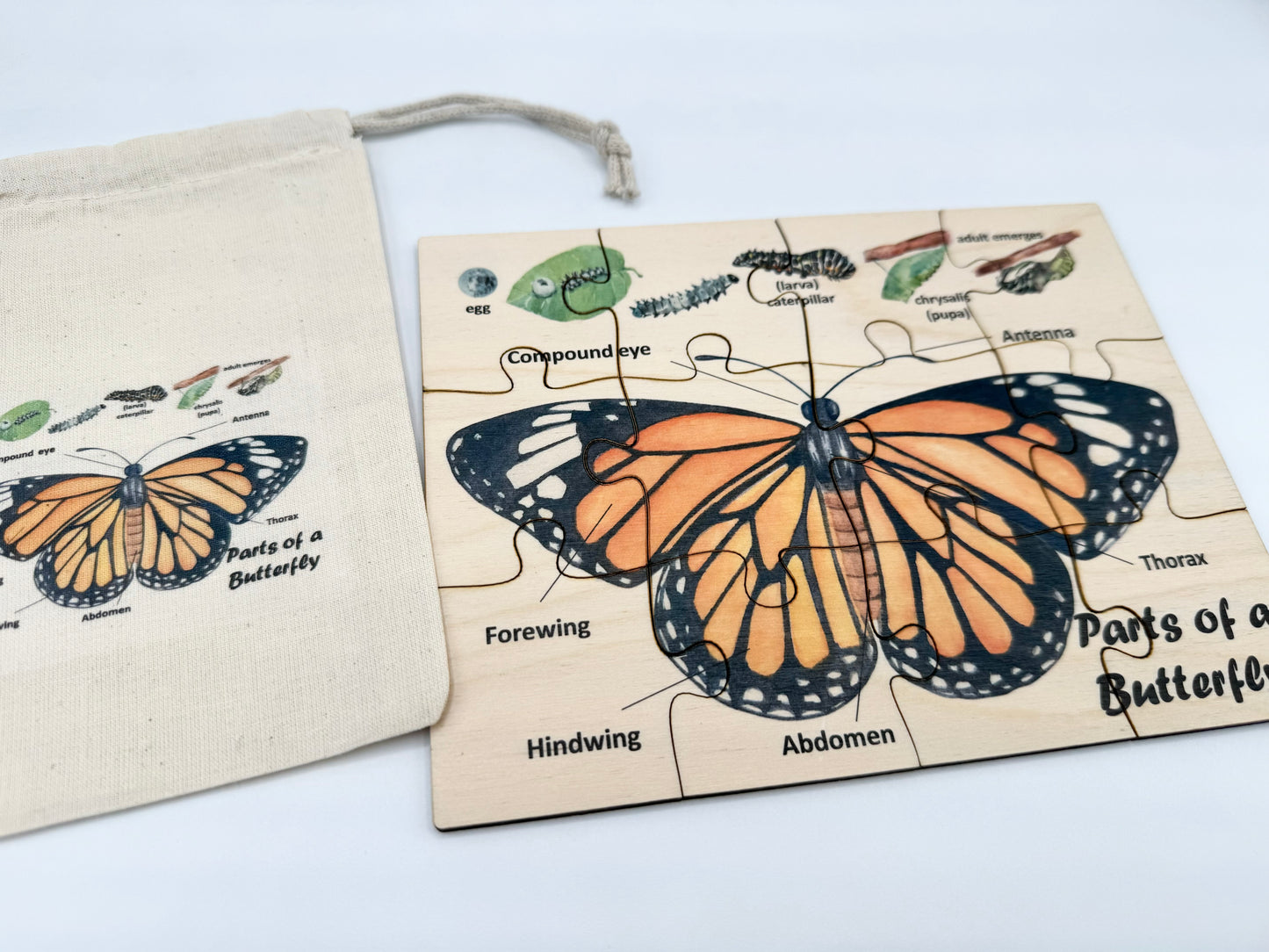 Wooden Butterfly Anatomy Puzzle