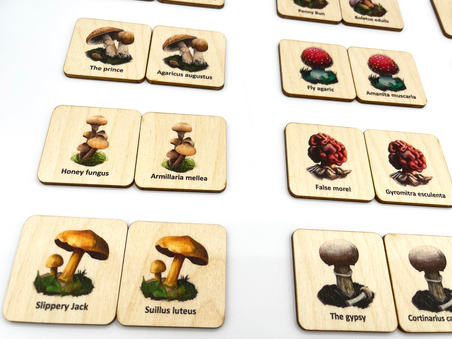 Wood Mushroom Fungi memory game