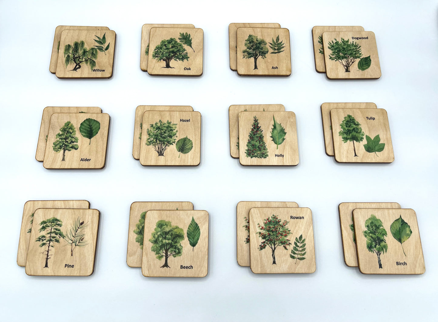 Wooden North American Tree leaf Matching Game