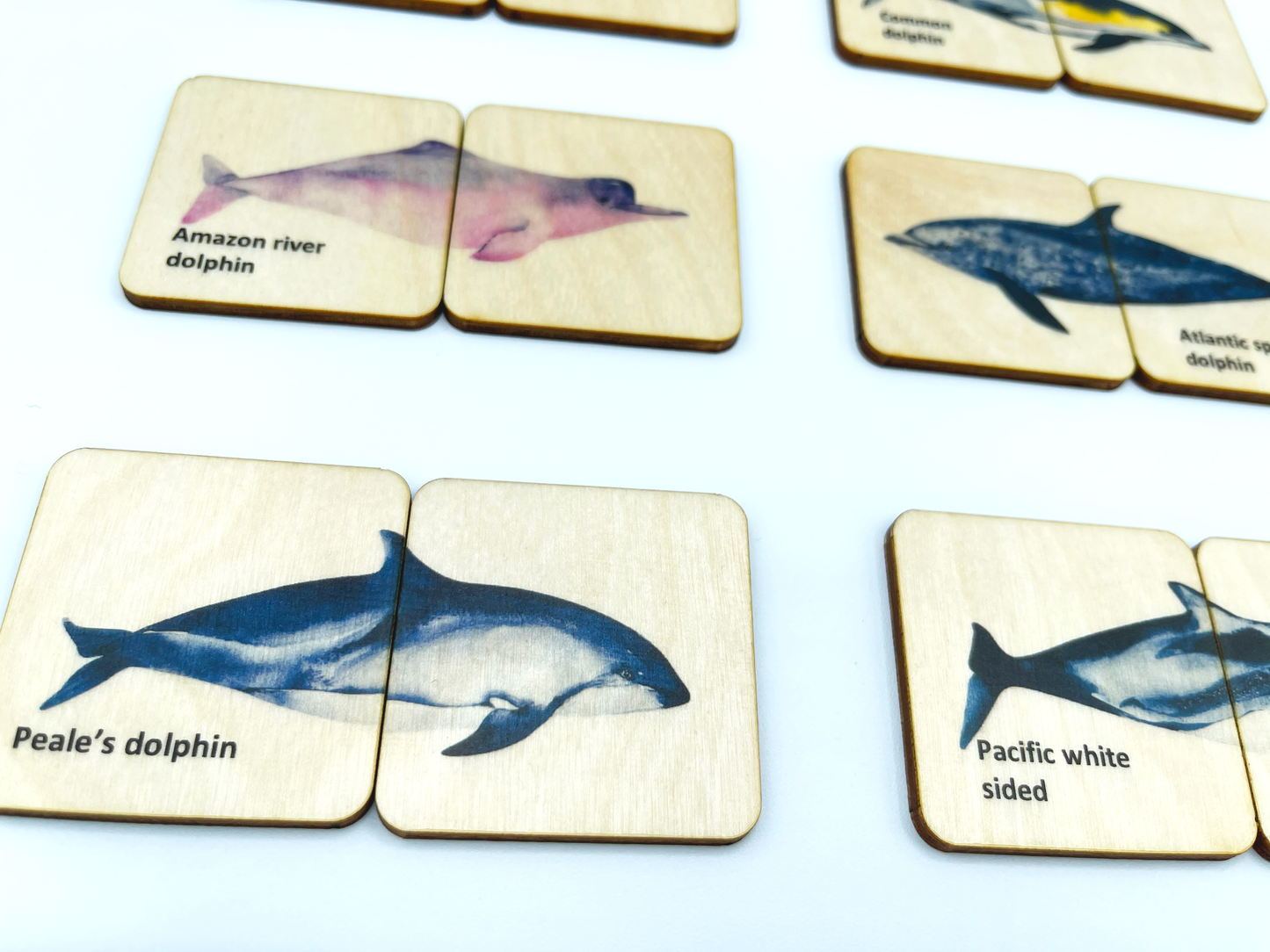 Wooden Dolphin Matching Puzzle