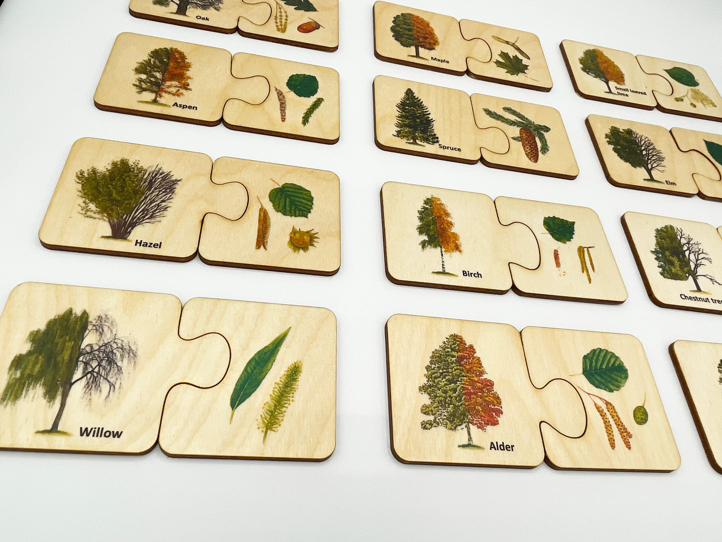 Wood tree leaves matching puzzle