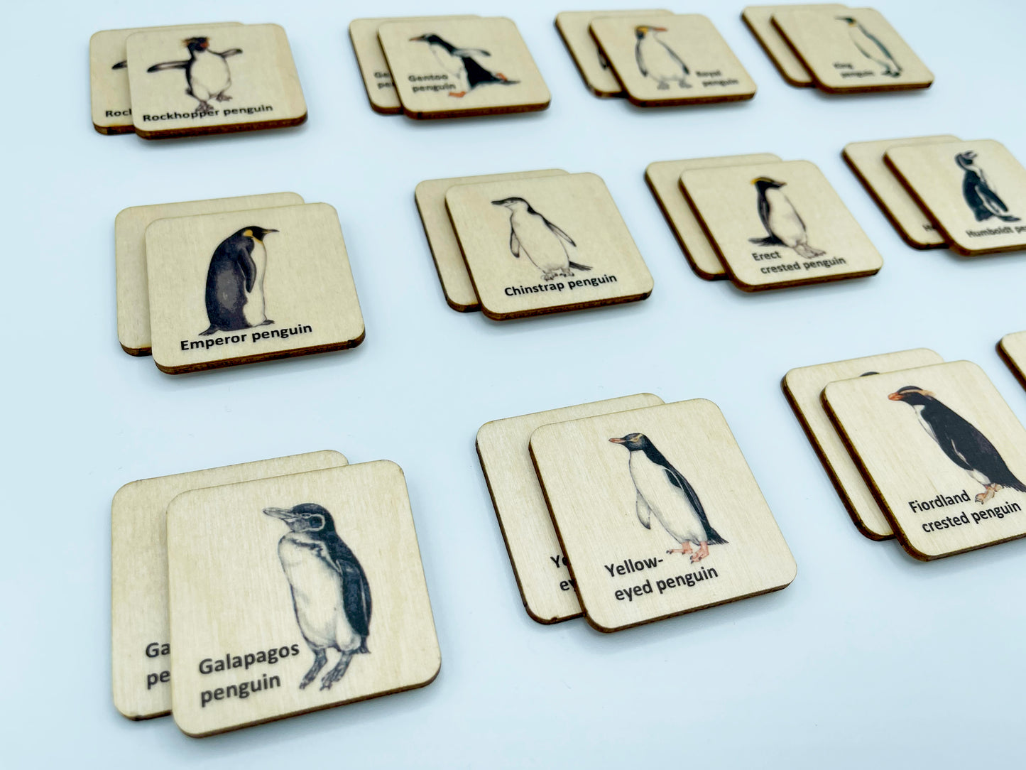 Wooden Penguin Memory Game