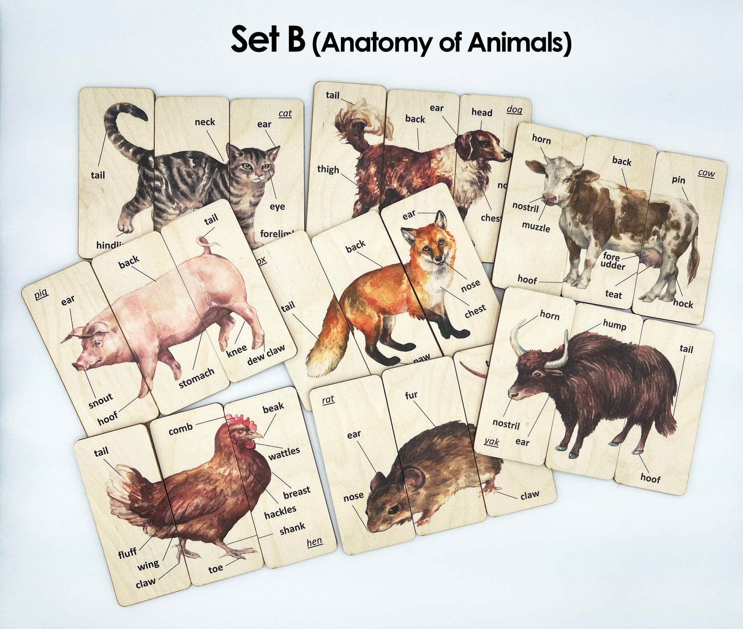 Wooden Animals Spelling Matching Puzzle