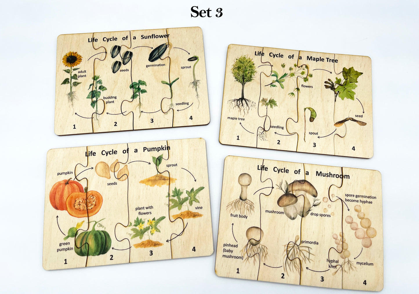 Wooden Life cycle Puzzle Set
