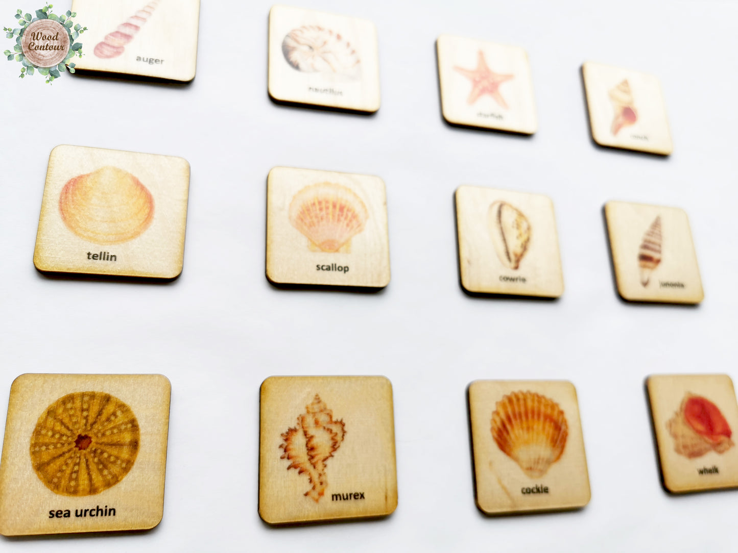 Wooden Seashell Memory Game