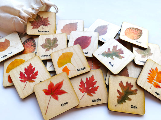 Wooden fall leaves memory game